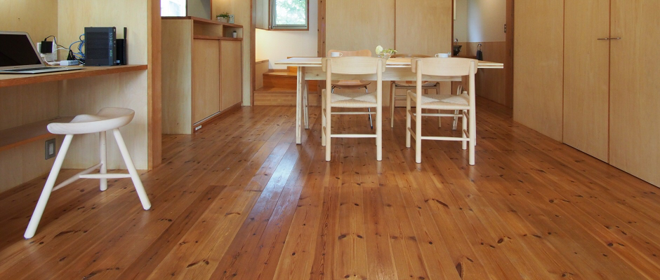 2　ﾚｯﾄﾞﾊﾟｲﾝ節有10年後